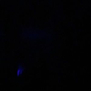 Meet your Posher, Belle